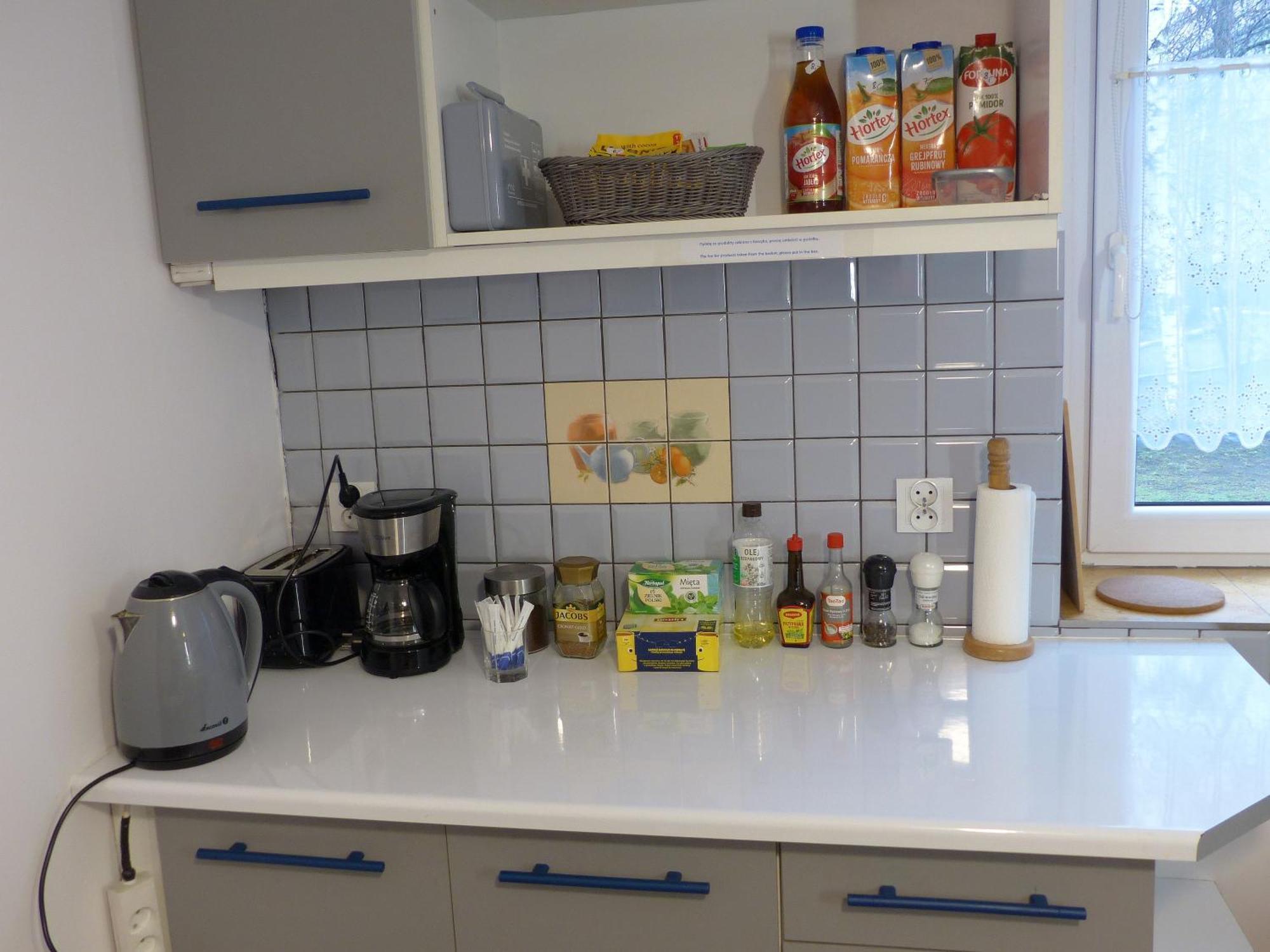 Apartament Kraszewskiego Бытом Экстерьер фото
